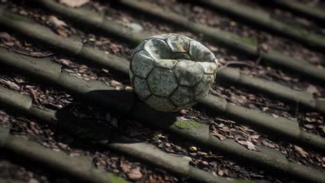 old-soccer-ball-on-the-roof-of-a-house